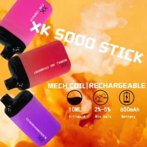 XK 5000 STICK DISPOSABLE VAPE POD