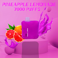 XK 7000  Pillow PINEAPPLE LEMONADE